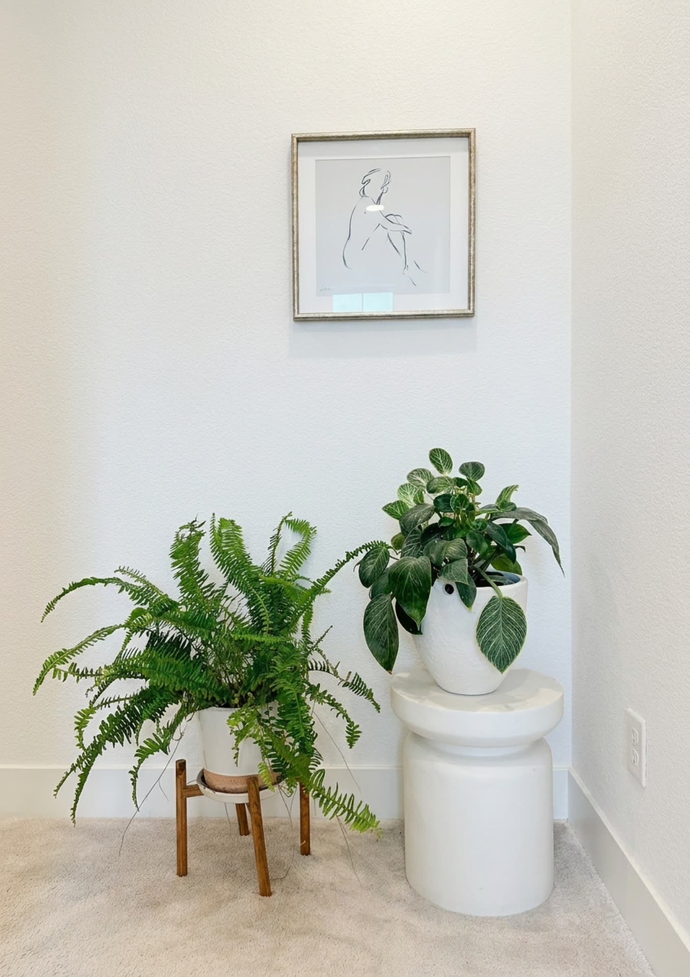 A quiet corner, ferns and a small print.