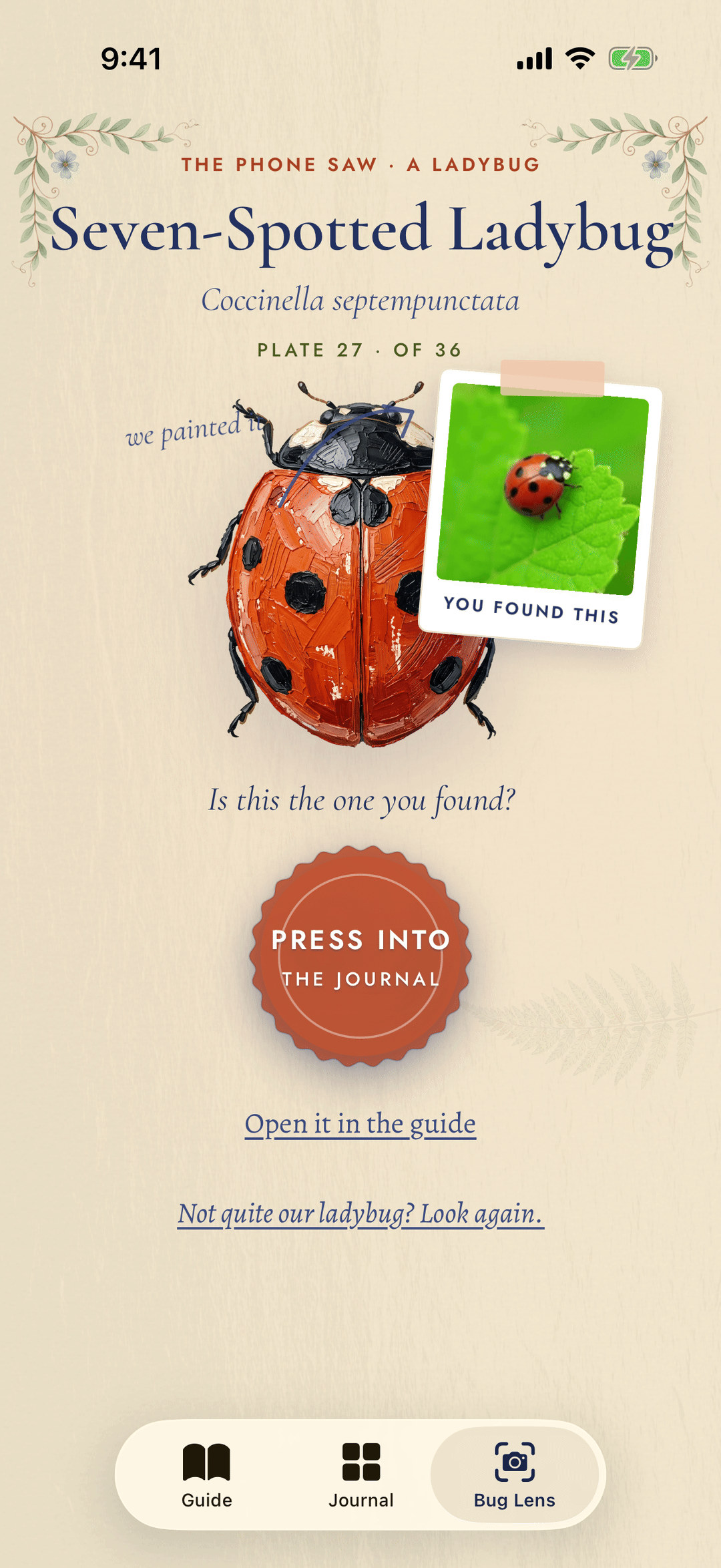 Critterbook Bug Lens matching a found ladybug to its painted plate.