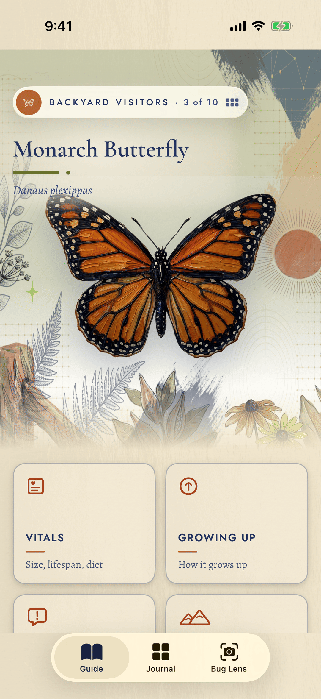 Critterbook guide plate for the Monarch Butterfly, a hand-painted specimen.